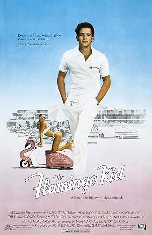 Cover image of the movie The Flamingo Kid (1984)