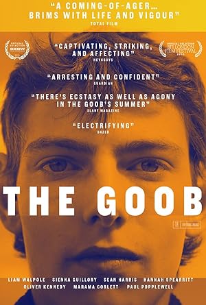 Cover image of the movie The Goob (2014)