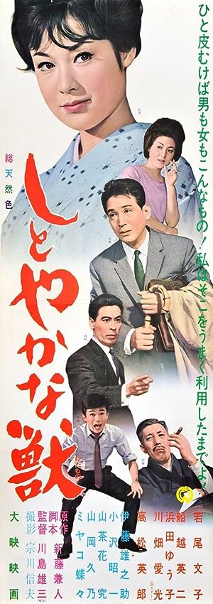 Cover image of the movie The Graceful Brute (1962)