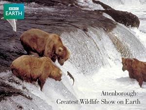 Cover image of the movie The Greatest Wildlife Show on Earth (2000)