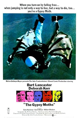 Cover image of the movie The Gypsy Moths (1969)
