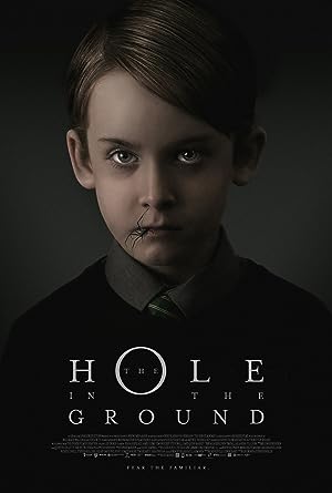 Cover image of the movie The Hole in the Ground (2019)