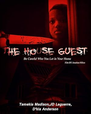 Cover image of the movie The House Guest (2020)
