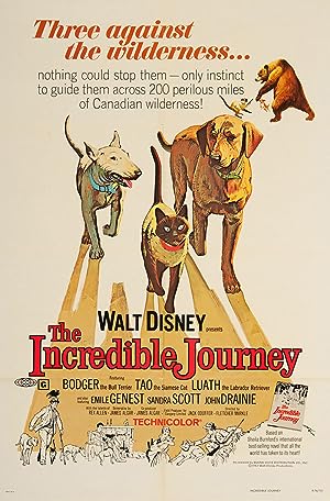 Cover image of the movie The Incredible Journey (1963)