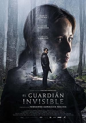 Cover image of the movie The Invisible Guardian (2017)