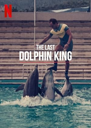 Cover image of the movie The Last Dolphin King (2022)
