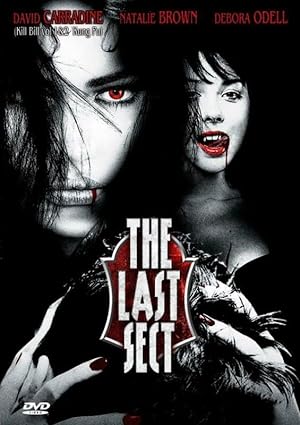 Cover image of the movie The Last Sect (2006)