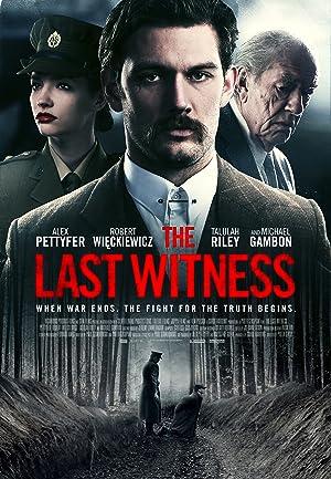 Cover image of the movie The Last Witness (2018)