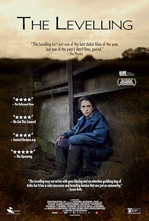 Cover image of the movie The Levelling (2016)