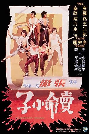 Cover image of the movie The Magnificent Ruffians (1979)