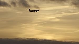 Cover image of the movie The Man Who Fell from the Sky (2021)