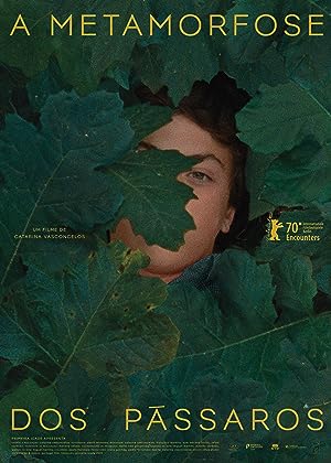 Cover image of the movie The Metamorphosis of Birds (2020)