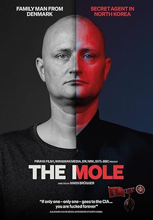 Cover image of the movie The Mole: Undercover in North Korea (2020)