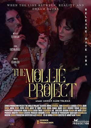 Cover image of the movie The Mollie Project (2024)