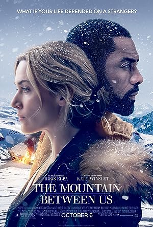 Cover image of the movie The Mountain Between Us (2017)