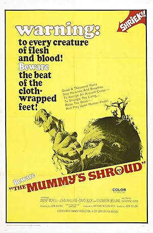 Cover image of the movie The Mummy's Shroud (1967)