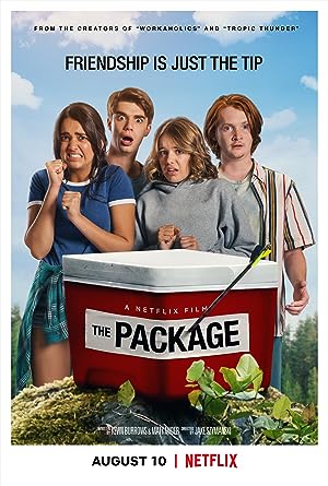 Cover image of the movie The Package (2018)