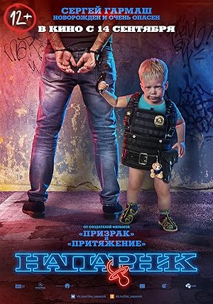 Cover image of the movie The Partner (2017)