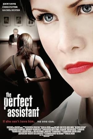 Cover image of the movie The Perfect Assistant (2008)