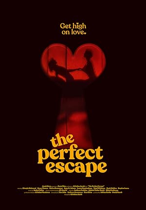 Cover image of the movie The Perfect Escape (2023)