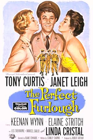 Cover image of the movie The Perfect Furlough (1958)