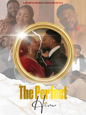 Cover image of the movie The Perfect Him (2024)