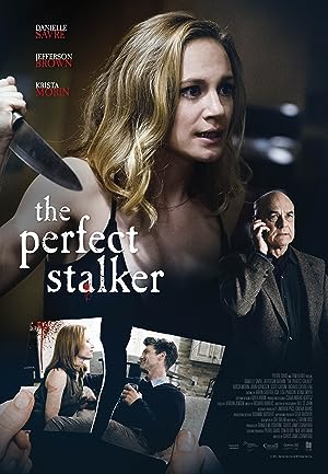 Cover image of the movie The Perfect Stalker (2016)