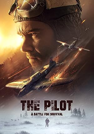 Cover image of the movie The Pilot: A Battle for Survival (2021)