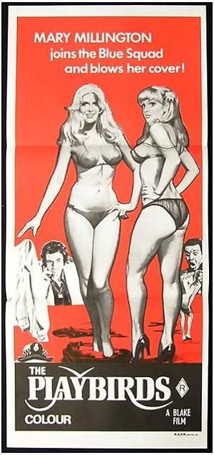 Cover image of the movie The Playbirds (1978)