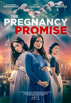 Cover image of the movie The Pregnancy Promise (2023)