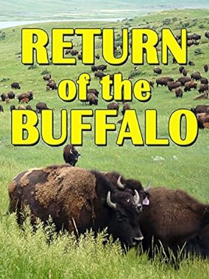 Cover image of the movie The Return of the Buffalo: Restoring the Great American Prairie (2008)