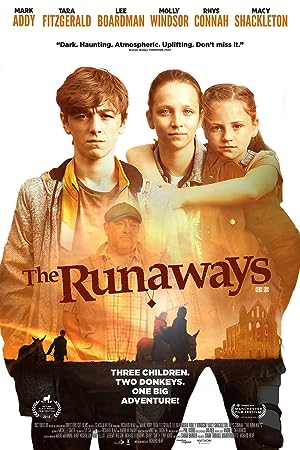 Cover image of the movie The Runaways (2019)