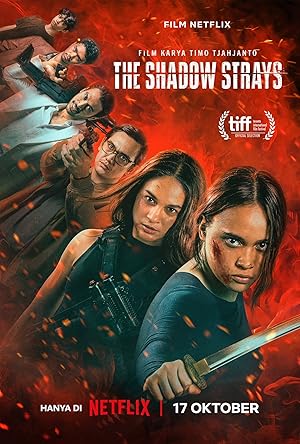 Cover image of the movie The Shadow Strays (2024)