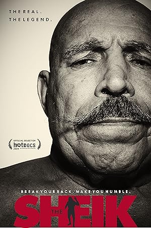 Cover image of the movie The Sheik (2014)