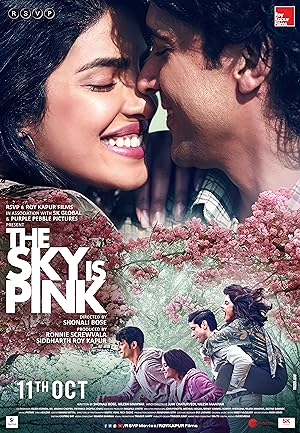 Cover image of the movie The Sky Is Pink (2019)