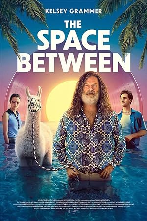 Cover image of the movie The Space Between (2021)