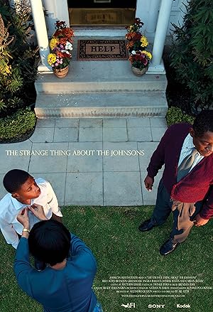 Cover image of the movie The Strange Thing About the Johnsons (2011)