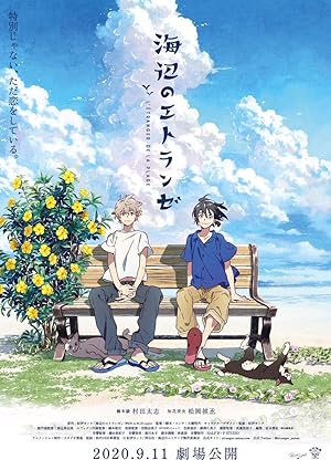 Cover image of the movie The Stranger by the Beach (2020)