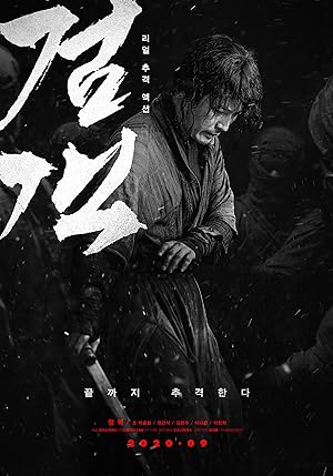 Cover image of the movie The Swordsman (2020)