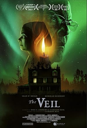 Cover image of the movie The Veil (2023)