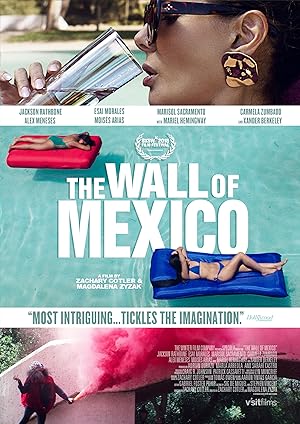 Cover image of the movie The Wall of Mexico (2019)