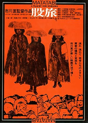Cover image of the movie The Wanderers (1973)