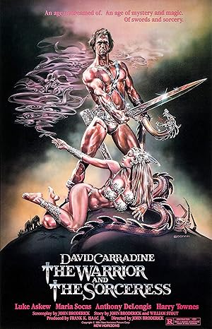 Cover image of the movie The Warrior and the Sorceress (1984)