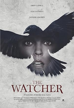 Cover image of the movie The Watcher (2016)