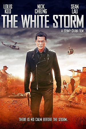 Cover image of the movie The White Storm (2013)