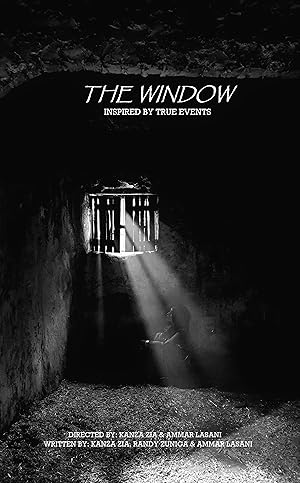 Cover image of the movie The Window (2022)