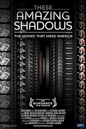 Cover image of the movie These Amazing Shadows (2011)