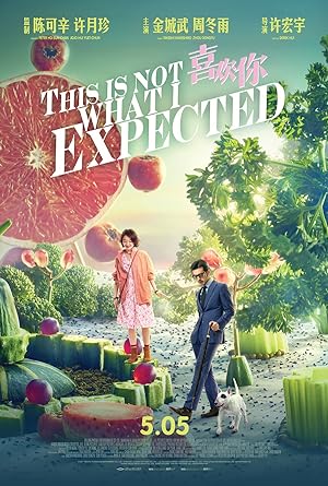Cover image of the movie This Is Not What I Expected (2017)