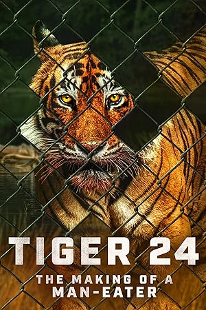 Cover image of the movie Tiger 24 (2022)