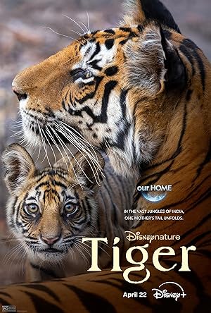Cover image of the movie Tiger (2024)